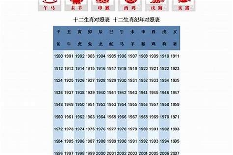 95年是什么年